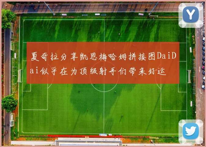 夏奇拉分享凯恩梅哈姆拼接图DaiDai似乎在为顶级射手们带来好运