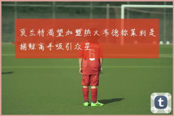 莫兰特渴望加盟热火韦德称莱利是捕鲸高手吸引众星