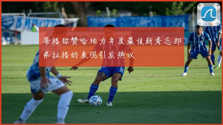 蒂格称赞哈珀为年度最佳新秀忘却弗拉格的表现引发热议
